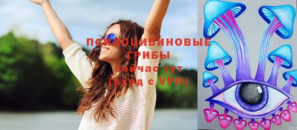 дживик Верхний Тагил